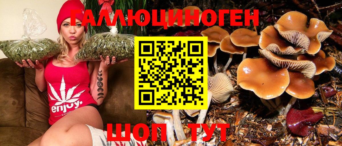 Псилоцибиновые грибы Magic Shrooms  Вход с VPN  Псилоцибиновые грибы ЛСД  Шуя 