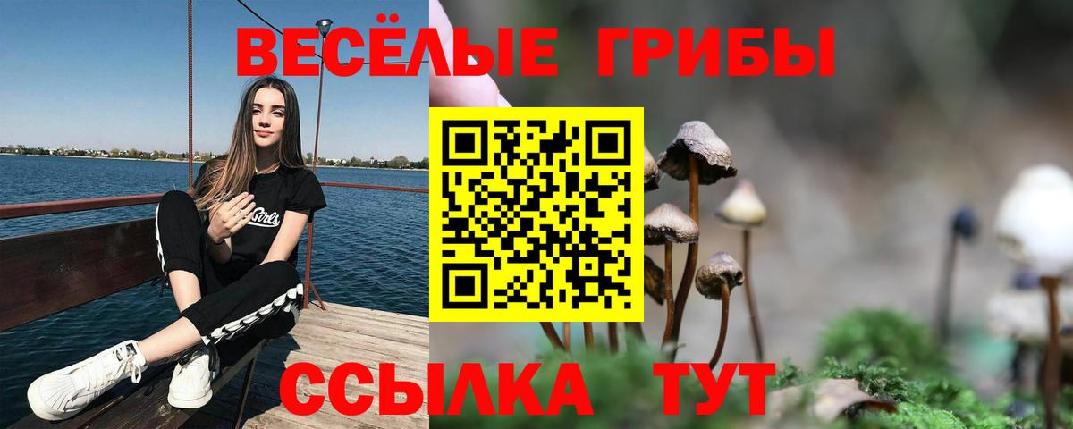 Галлюциногенные грибы Psilocybine cubensis Шуя